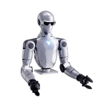 Upper Body Robots humanoïdes