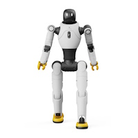 Robots humanoïdes
